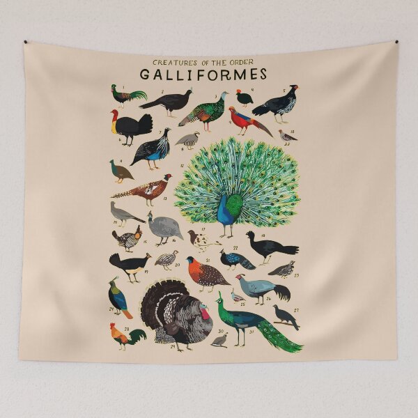 Item preview, Galliformes Order designed and sold by PatronesKawai.