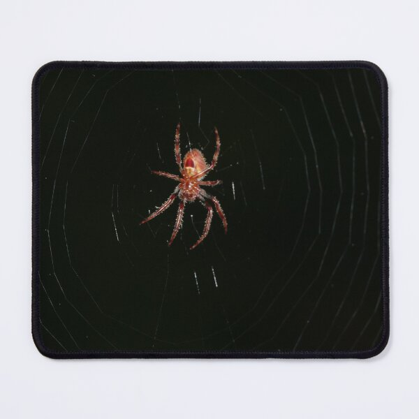 Item preview, Tropical Orb Weaver designed and sold by Faith-B-Photos.