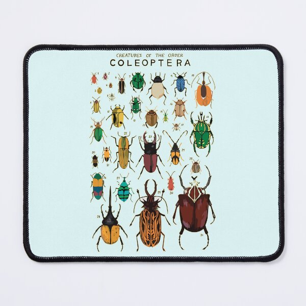 Item preview, Copy of Order Coleoptera designed and sold by PatronesKawai.