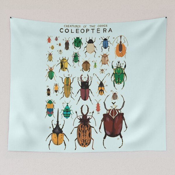 Item preview, Copy of Order Coleoptera designed and sold by PatronesKawai.