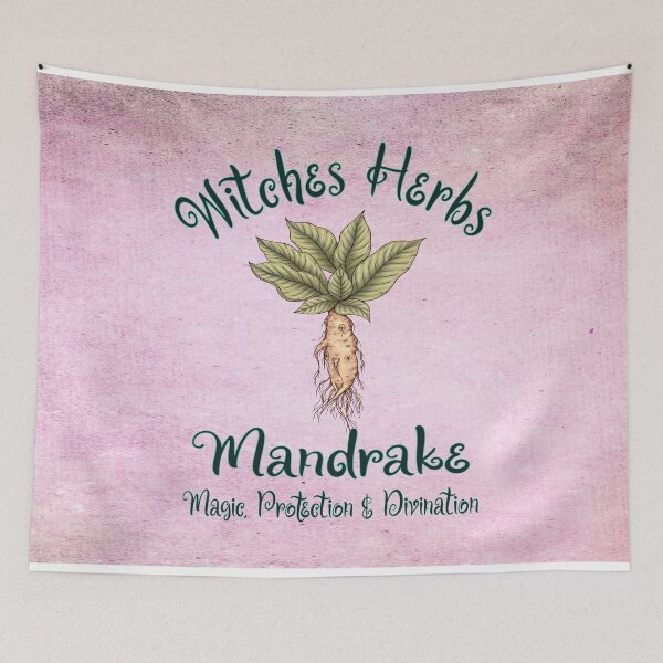 Item preview, Mandrake Witches Apothecary Herbs Mandrake: Used for Magic, Protection and Divination designed and sold by MysticOzzy.