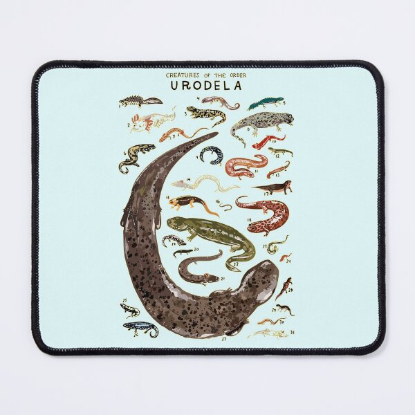 Item preview, Copy of Urodela Order designed and sold by PatronesKawai.