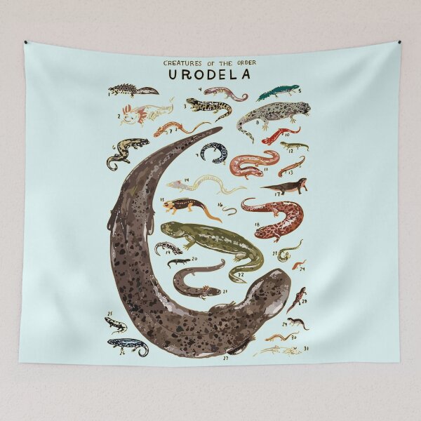 Item preview, Copy of Urodela Order designed and sold by PatronesKawai.