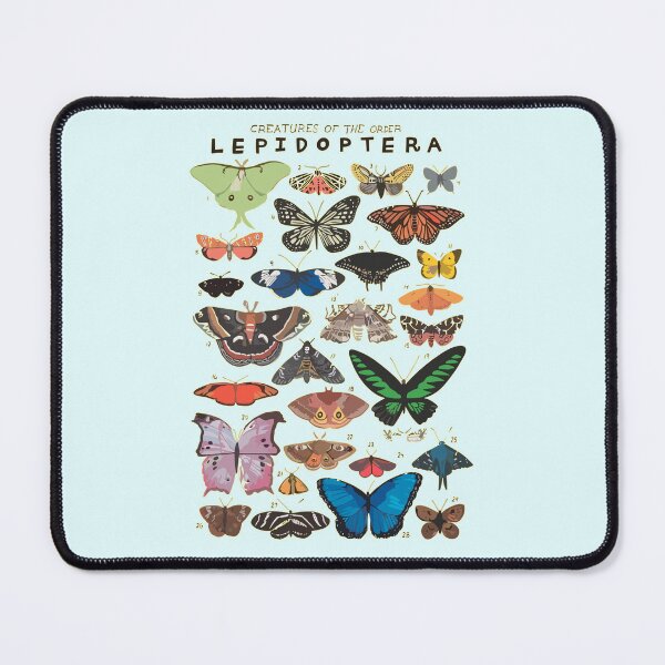 Item preview, Copy of Order Lepidopetara designed and sold by PatronesKawai.