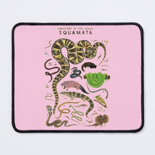 Item preview, Copy of Order Squamata designed and sold by PatronesKawai.