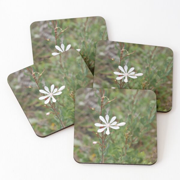 Item preview, White Bloom designed and sold by Faith-B-Photos.
