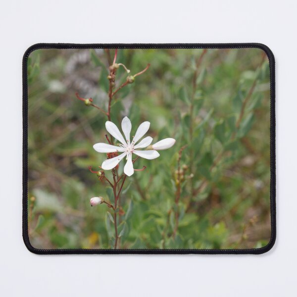 Item preview, White Bloom designed and sold by Faith-B-Photos.