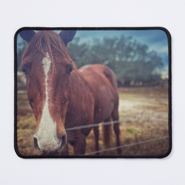 Item preview, Equus designed and sold by Jason Tompkins.