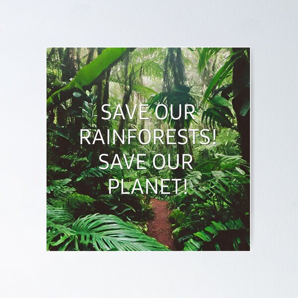 Save the Rainforests to Save Our Planet