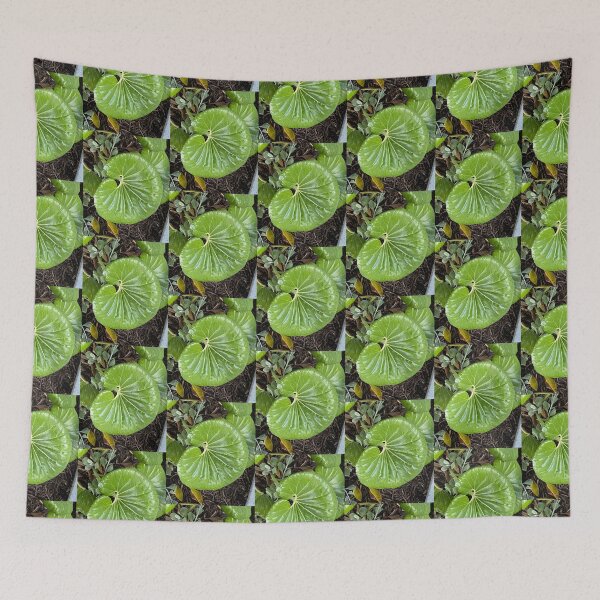 Item preview, Leaf of Green designed and sold by SucculentLovers.
