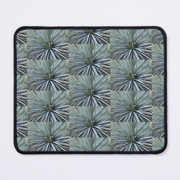 Item preview, Spike Me designed and sold by SucculentLovers.