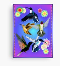 For The Love Of Hummingbirds Canvas Print