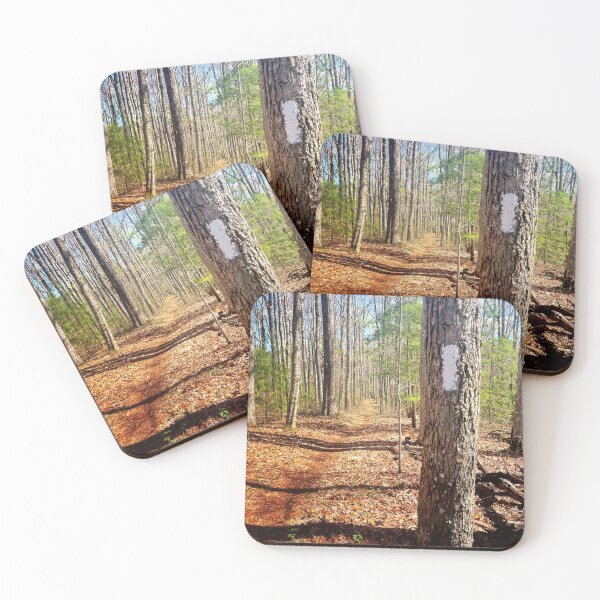 Item preview, Trailblazer designed and sold by Jason Tompkins.