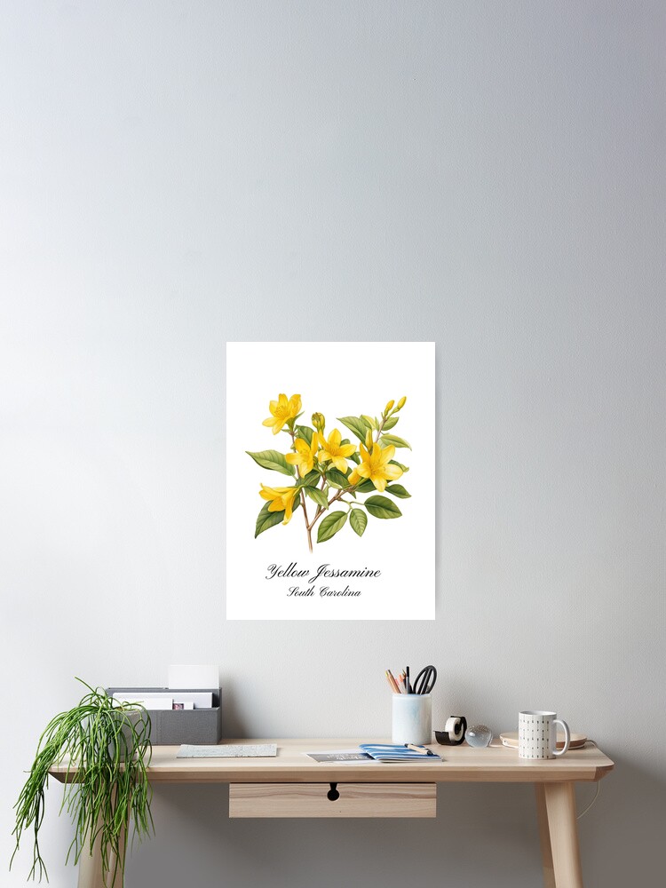 South Carolina State Flower: Yellow Jessamine Poster