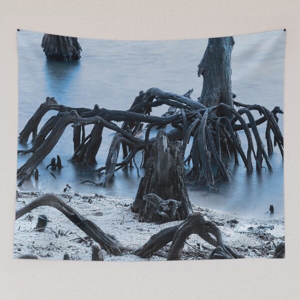 Item preview, New Orleans's Ghostly Cypress Knees in Lake Ponchartrain designed and sold by Kay Brewer.