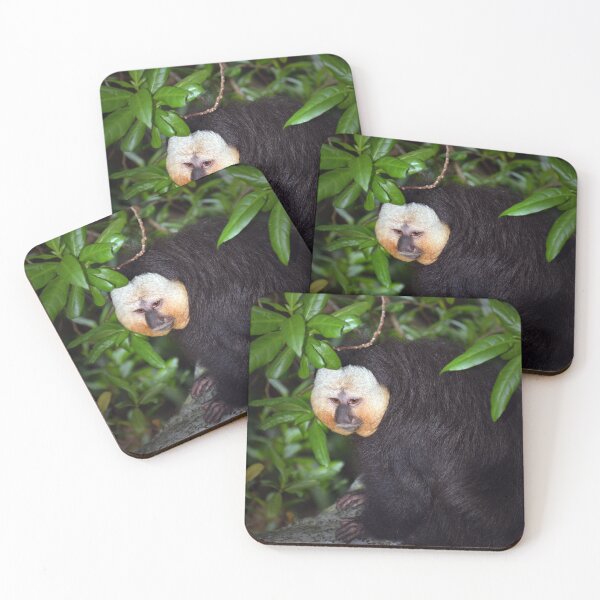 Item preview, Saki Monkey designed and sold by Savannah Gibbs.