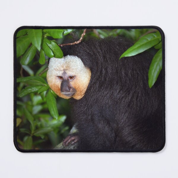 Item preview, Saki Monkey designed and sold by Savannah Gibbs.