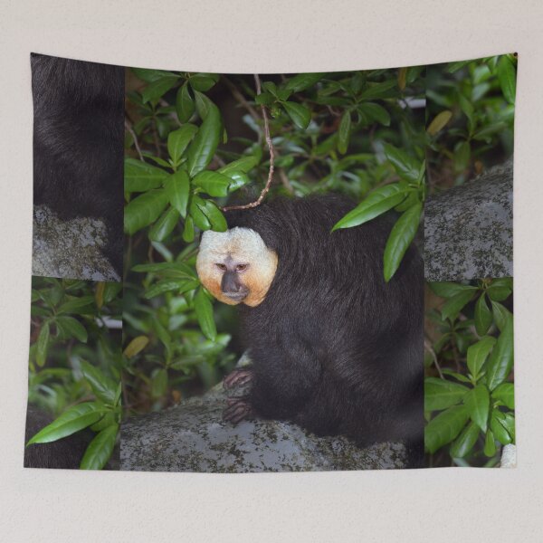Item preview, Saki Monkey designed and sold by Savannah Gibbs.