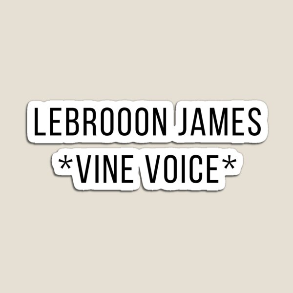 Lebron James Magnet