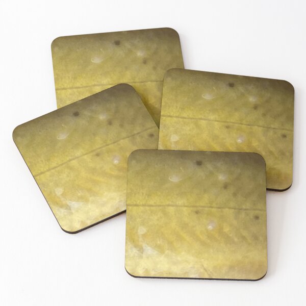 Item preview, Yellow Bullhead Skin Pattern (Natural) designed and sold by CJRPics.
