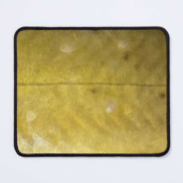 Item preview, Yellow Bullhead Skin Pattern (Natural) designed and sold by CJRPics.