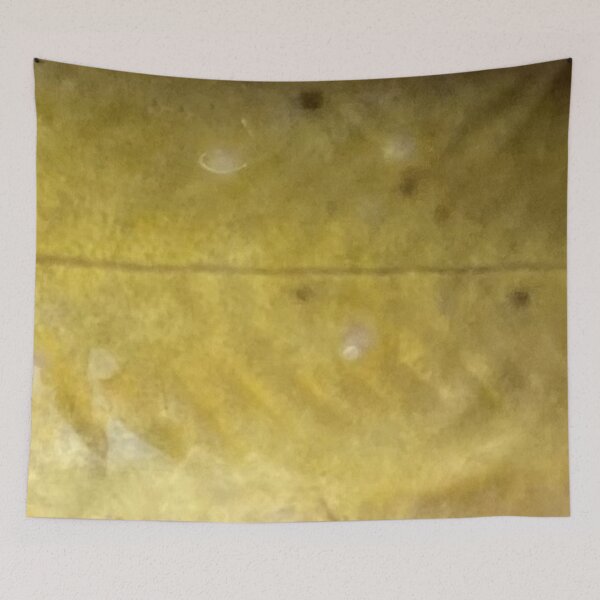 Item preview, Yellow Bullhead Skin Pattern (Natural) designed and sold by CJRPics.