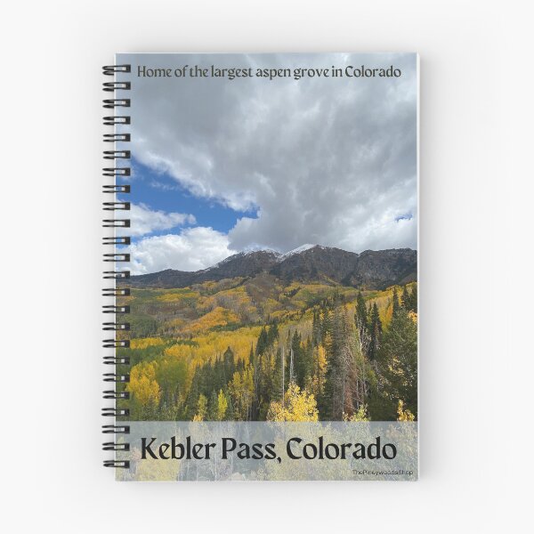 Item preview, Kebler Pass Colorado Aspens designed and sold by pineywoodsshop.