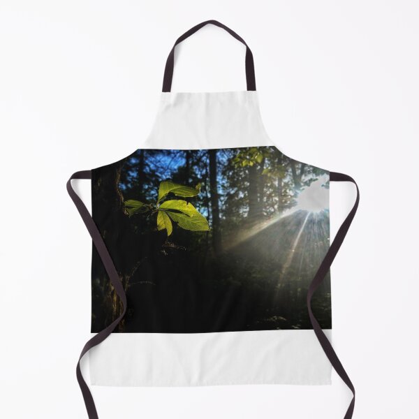 Item preview, Light Play designed and sold by Jason Tompkins.