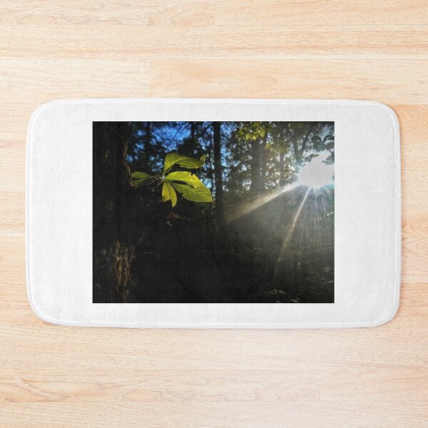 Item preview, Light Play designed and sold by Jason Tompkins.