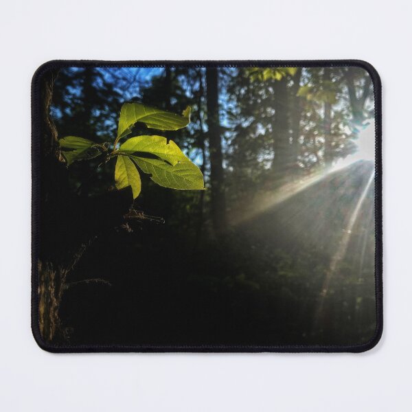 Item preview, Light Play designed and sold by Jason Tompkins.