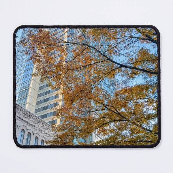 Item preview, Fall in City designed and sold by jvnimages.