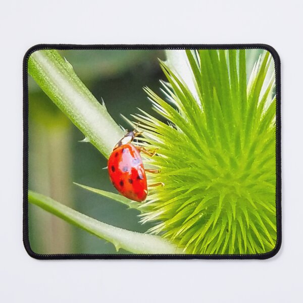 Item preview, The Ladybug Challenge designed and sold by Betty Mackey.