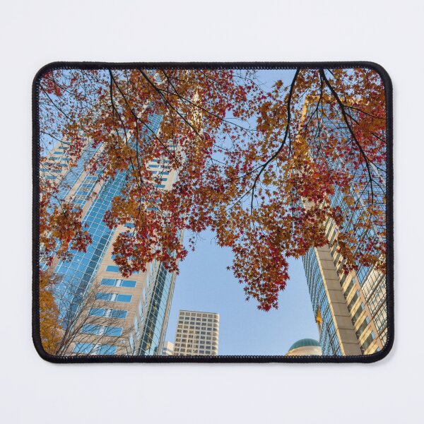 Item preview, Fall in City designed and sold by jvnimages.