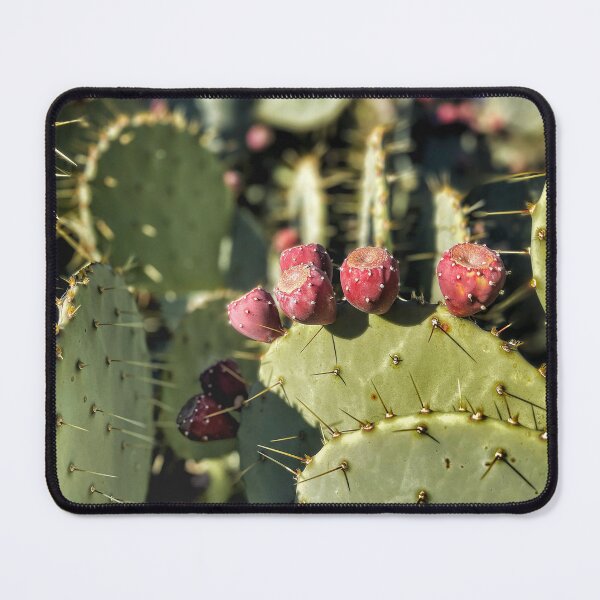 Item preview, Prickly Pear Cactus designed and sold by Jason Tompkins.