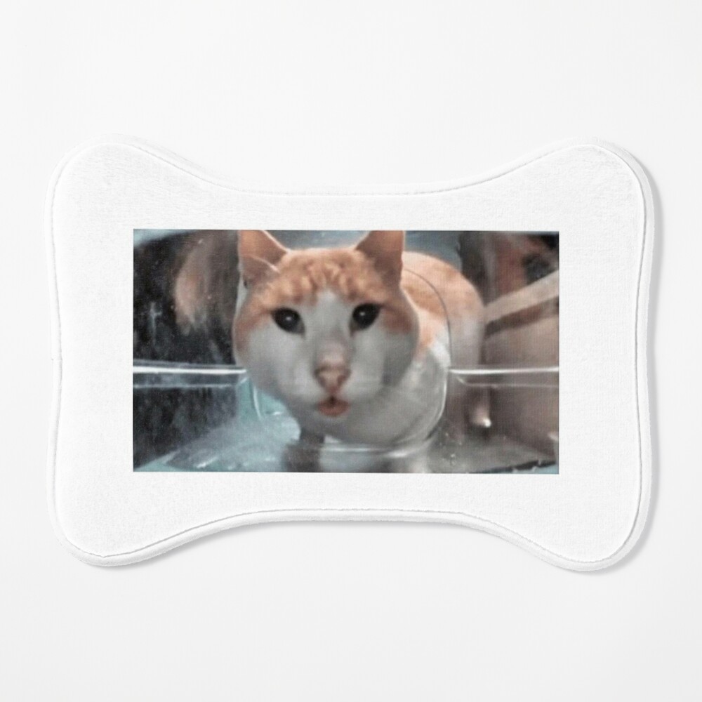 Cat eating Looking up Mr. Fresh Sideeye Stare meme Sticker by