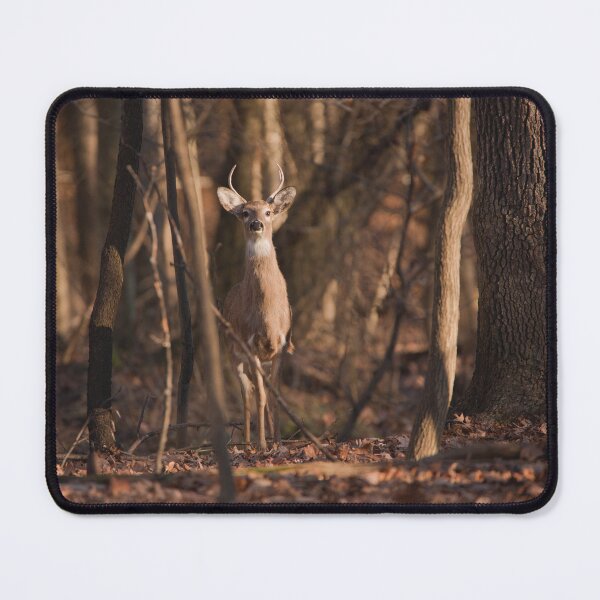 Item preview, Series: Deer 7 designed and sold by SMFOTO.