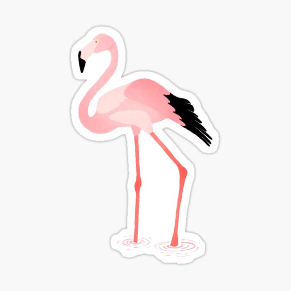 Pink Flamingo Sticker