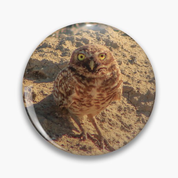 Item preview, Ground owl (Large scale ) designed and sold by bohemianeNVy7.