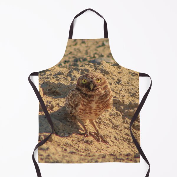 Item preview, Ground owl (Large scale ) designed and sold by bohemianeNVy7.
