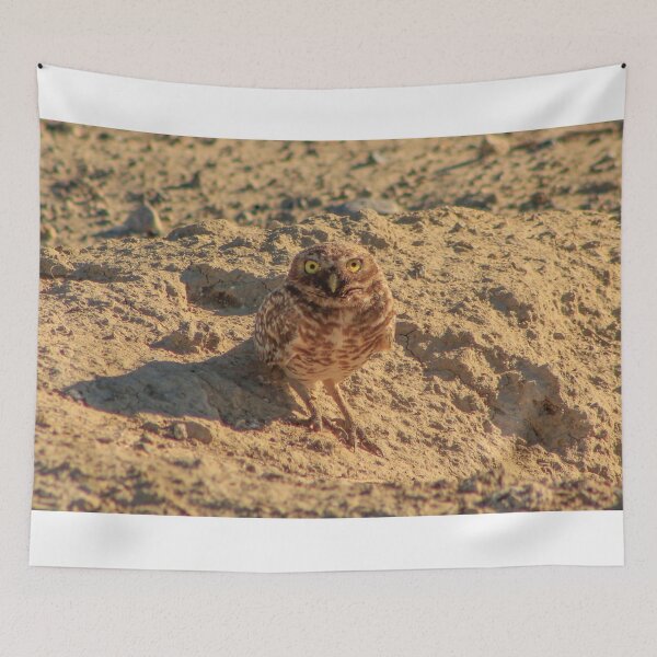 Item preview, Ground owl (Large scale ) designed and sold by bohemianeNVy7.