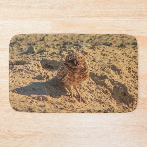 Item preview, Ground owl (Large scale ) designed and sold by bohemianeNVy7.