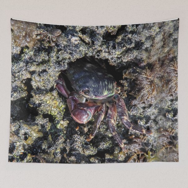 Item preview, I'm Coming Out! designed and sold by heatherfriedman.