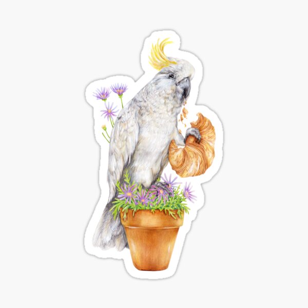 Item preview, Cheeky Cockatoo - Funny Sydney Bird eating Croisant designed and sold by Kayla Reay.