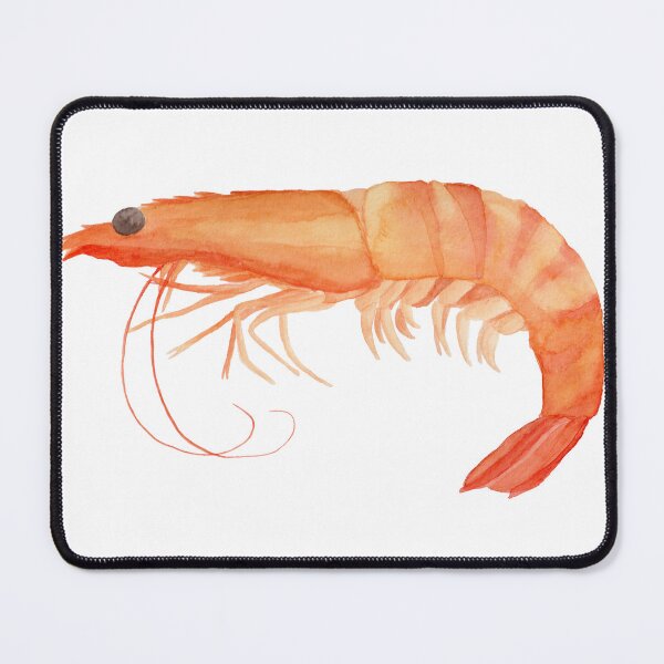 Item preview, Prawn Watercolour designed and sold by LaniMaeCreative.