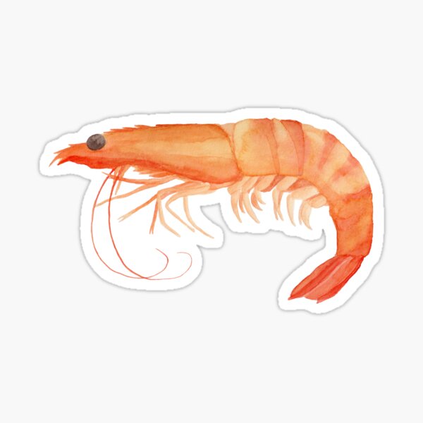 Item preview, Prawn Watercolour designed and sold by LaniMaeCreative.