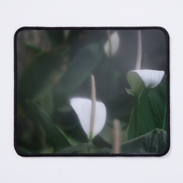 Item preview, Peace Lily plant designed and sold by sinseeho.