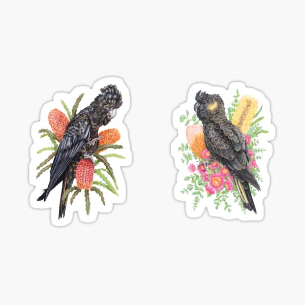 Item preview, Black Cockatoos - Red-tailed and Yellow-tailed Black Cockatoos designed and sold by Kayla Reay.