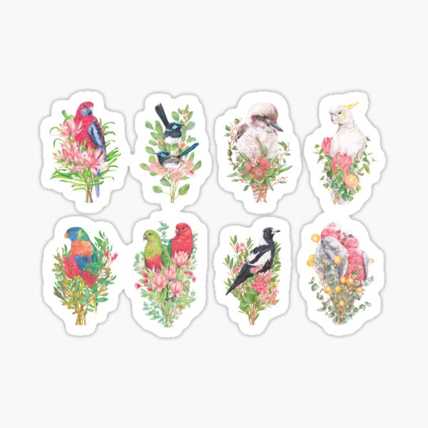 Item preview, Common Australian Backyard Birds designed and sold by Kayla Reay.