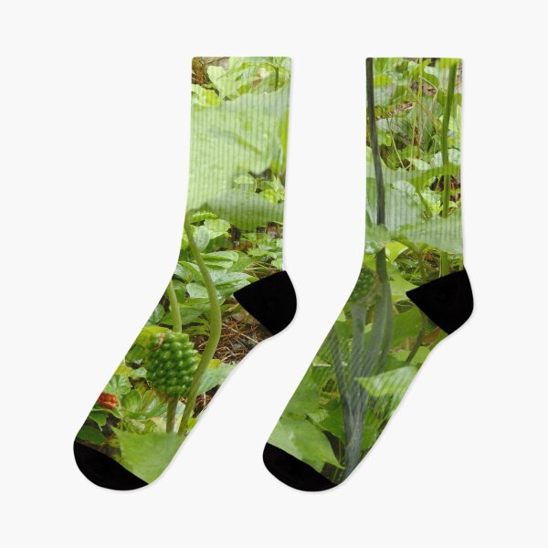 Item preview, Jack-in-the-Pulpit Mature  designed and sold by gistinker.
