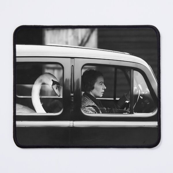 Item preview, Swan in Car, Black and White Vintage Art designed and sold by modernretro.